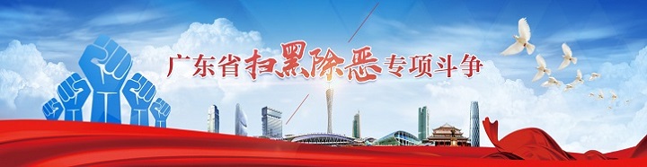 广东省扫黑除恶专项斗争